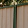 buaraba a1 fencing 4311