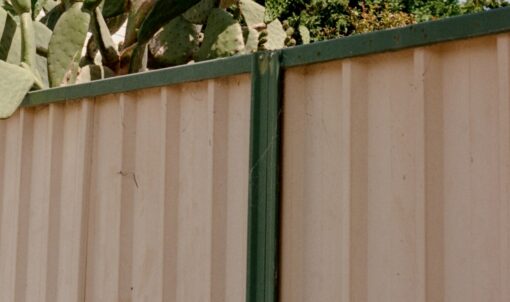 fig tree pocket a1 fencing 4069