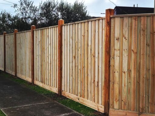 weengallon a1 fencing 4497